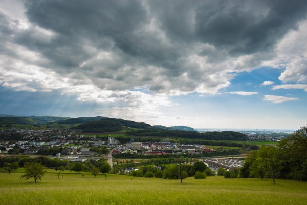 img_2341