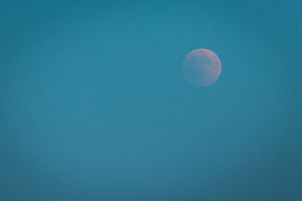IMG_7214-2