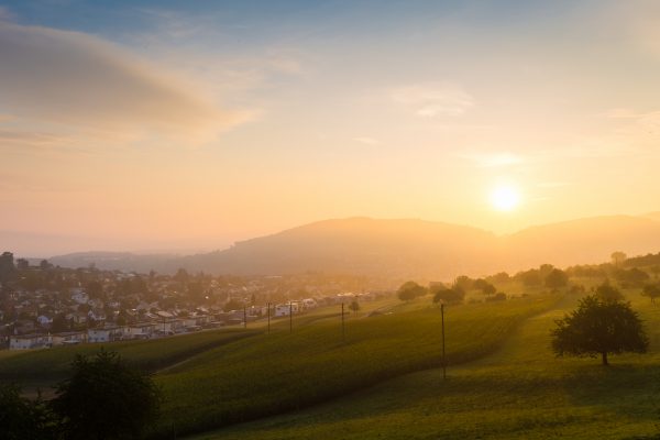 IMG_8450